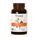 Himalaya StressCare Herbal Supplement, stöder stressavlastning, energistöd, avkoppling, yrkessömnlöshet, Ashwagandha, Helig Basil / Tulsi, Gotu Kola, icke-GMO, Vegetarian, 240 kapslar