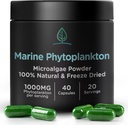 Marine Phytoplankton Capsules av Holistic Bin | Naturligt odlad i Nordiska havsvatten | Vegan Omega 3 Supplement | Rik i Aminosyror, klorofyll, vitaminer och spårmineraler