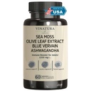 VINATURA Organic Sea Moss, Blue Vervain - med Black Seed Oil, Ashwagandha, Ginger, Burdock Root Capsules - 1250mg per servering, *USA Made &Tested * Immune Booster för vuxna