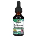 Naturens svar Enchinacea & Goldenseal | Stöder ett hälsosamt immunsystem | Superkoncentrerat rent extrakt | Alkoholfri, glutenfri, Vegan & Kosher certifierad 1oz
