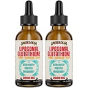 Liposomal Glutathione Liquid 2000MG – Antioxidant Detox Supplement for Women & Men, Aging Defense, Liver Function & Energy, med Hyaluronic Acid + Aloe Vera + Vitamin C, Natural & Vegan, 4 FL.OZ