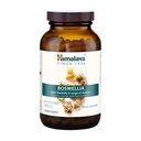 Himalaya Boswellia, gemensamt stöd för rörlighet och flexibilitet, främjar Tissue Preservation, 250 mg, 240 kapslar