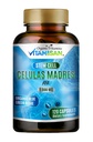 Celulas Madres AFA Stem Natural Cell 120 kapslar 1000 mg Blue Green Algae Non GMO Gluten Free Aphanizomenon Flos-aquae celula Madre Suplement