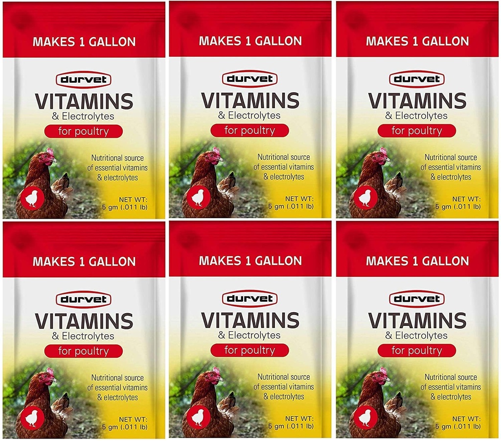 Durvet 6 Pack av vitaminer och elektrolyter för fjäderfä, 5 gram, gör 6 galloner