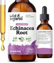 Wild & Organic Echinacea Tincture - Immune Support Drops med Liquid Echinacea Root Extract - Angustifolia Supplements - Vegan, Sugar & Alkoholfri - 2 fl oz