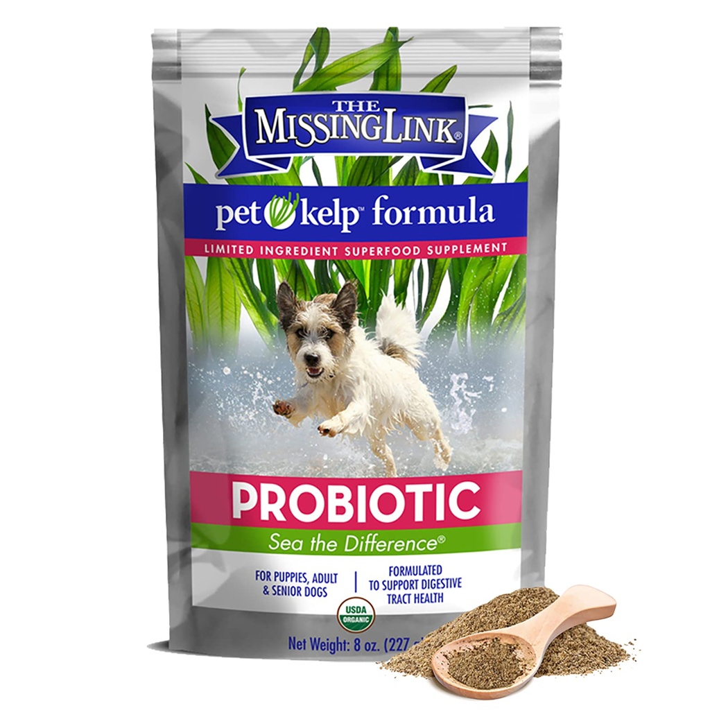 Den saknade länken Pet Kelp Canine Probiotic 8oz Superfood Pulvered Supplement, Organic & Limited Ingredient Formel för Digestive Health of Dogs