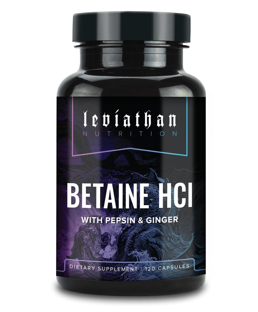 Leviathan Betaine HCl med Pepsin & Ginger - Digestive Enzymes Supplement for Digestion Aid & Support, Stomach Acid & Nutrient Absorption