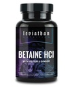 Leviathan Betaine HCl med Pepsin & Ginger - Digestive Enzymes Supplement for Digestion Aid & Support, Stomach Acid & Nutrient Absorption