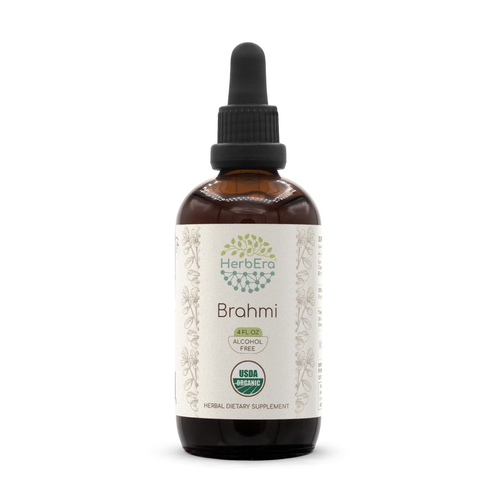 HerbEra Brahmi B120 USDA Organic Tincture | Alcohol-Free Extract, High-Potency Herbal Drops | Certified Organic Brahmi (Bacopa Monnieri) Dried Herb 4 FL OZ