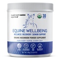 Om Mushroom Matrix - Equine | Wellbeing | USA Grown Human-Grade Organic Mushroom Powder Show Safe Horse Supplement | Wellness, Recovery och Senior Support | 300 Grams, 10.5 uns