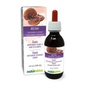 Naturalma Reishi (Ganoderma lucidum) Fungus eller Mushroom Alkoholfri tinktur - 4 fl oz flytande extrakt i droppar - Herbal Supplement - Vegan