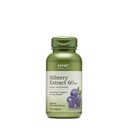 GNC Herbal Plus Bilberry Extract Supplement, Vegetarian, stöder ögon och hälsa, 100 portioner