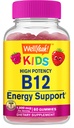 WellYeah Vitamin B12 Gummies for Kids - Boost Energy, förbättra hjärnfunktionen och stärka immunsystemet - Icke-GMO, Gluten-Free - Great Tasting Berry Flavor - Lätt att tugga - 60 Gummies
