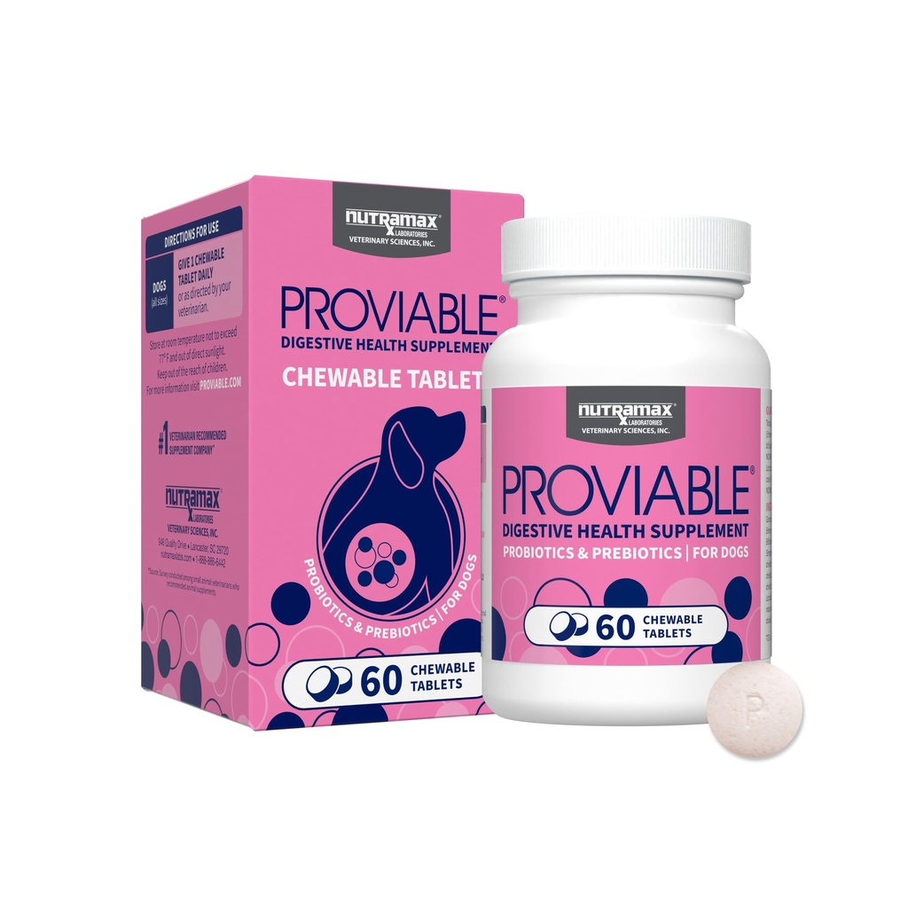 Nutramax Proviable Probiotics for Dogs, Daily Digestive Health Supplement med flera stammar av bakterier, Dog Probiotics Plus Prebiotika, 60 Chewable tabletter