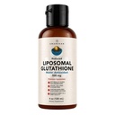 Amandean liposomal glutation tillägg. Liquid Reduced Setria 500mg. Immune Support, Brain Health, Liver Detox, Skin Health. Fosfatidylkolin från Non-GMO Sunflower Lecithin. Soy-Free och Vegan.