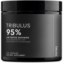 Tribulus Terrestris för män - Ultra High Potency 25:1 Extrakt med 95% Saponiner - 1300mg Pure & Concentrated Formel - Tredjepartslabb Testat för renhet och kvalitet - 240 kapslar