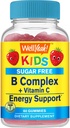 WellYeah Kids Vitamin B Complex Sugar Free Gummies | med C-vitamin, folsyra | Immun och energistöd | Strawberry Flavor | 60 greve