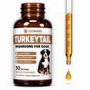 Turkiet Tail Mushroom för hundar | Hjälper till att öka immunsystemet, är ett hälsosamt prebiotikum och mycket mer | Turkiet Tail för hundar | Svamp för hundar | Dog Mushroom Supplements | 1 fl oz
