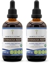 Echinacea Root USDA Organic Tincture | Alcohol-Free Extract, High-Potency Herbal Drops, Immune System Health | Tillverkad av 100% Certified Organic Echinacea Root (Echinacea Purpurea) 2x4 oz