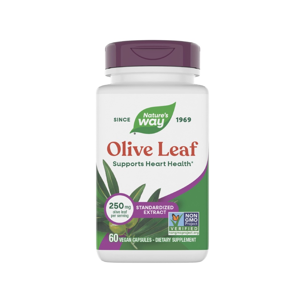 Naturens Way Olive Leaf Premium Extract Supplement, stöder hjärthälsa *, 250 mg Per Servering, Gluten Free, Vegan, 60 kapslar (Packaging May Vary)
