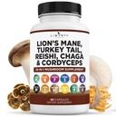 Lions Mane Mushroom Supplement med Turkiet Tail Reishi Cordyceps Chaga med Marshmallow Root - 1-Pack