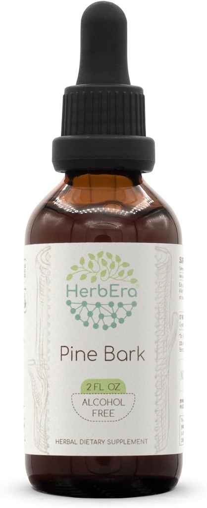 HerbEra Pine Bark B60 Alkoholfri växtbaserade extrakt tinktur, koncentrerad flytande droppar naturlig Pine Bark (Proanthocyanidin) Torkad Bark 2 fl oz