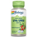 SOLARAY Uva Ursi Leaf 460 mg | Hälsosam blåsa, njure och urinvägsfunktionsstöd | Icke-GMO | 100ct (Ta 3 Daily)