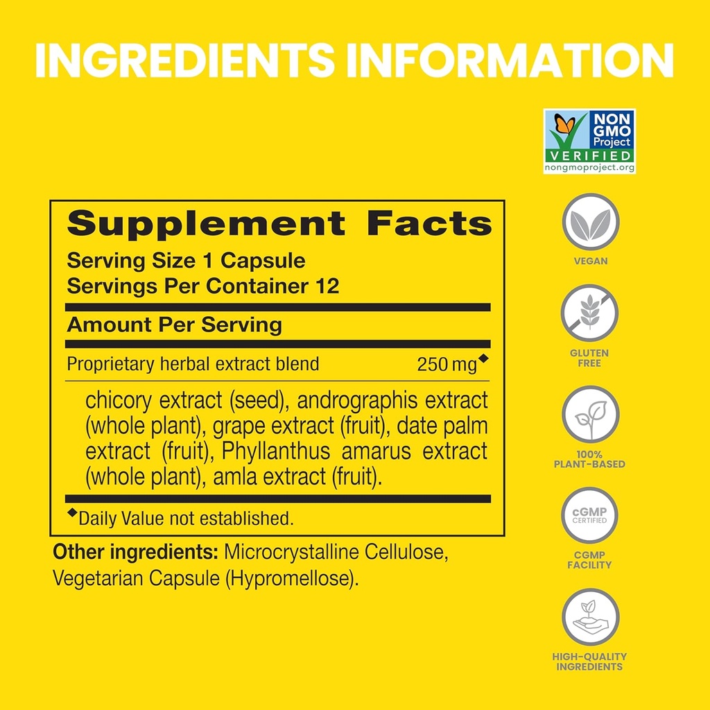 Himalaya PartySmart, 12 Capsule Tube - Alkohol Breakdown Liver Support för en bättre morgon efter att ha druckit - Plant Based, Vegan, Non-GMO, Gluten Free, Clinically Studied (Pack of 2)
