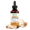Maxx Herb Astragalus Root Extract - Max Strength Liquid Tincture Absorbs bättre än kapslar eller pulver, för immunstöd och mental klarhet - 4 Oz flaska (60 portioner)