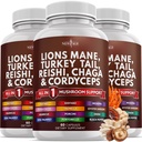 NEW AGE Lions Mane Mushroom Supplement med Turkiet Tail Reishi Cordyceps Chaga med Marshmallow Root 180 Count