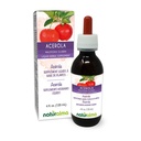 Naturalma Acerola (Malpighia glabra) Frukt Alkoholfri tinktur - Rik i vitamin C - 4 fl oz Liquid Extract i droppar - Herbal Supplement - Vegan