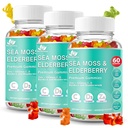 BIO VITALICA Sea Moss Gummies Elderberry BioVitalica - Vitamin C D + Zink - Irländska Seamoss Vegan Gummy med Sea Moss Gel & Powder för immunitet, Detox - för vuxna och barn (3 Packs)