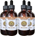 Artichoke Liquid Extract, Organic Artichoke (Cynara scolymus) Tinktur 4x4 oz