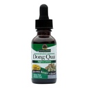 Naturens svar Dong Quai Womens Support Supplement - Kvinnlig Hormonal Support, Kvinnlig Wellness Supplement, Liquid Extract, Alcohol Free, Gluten Free, Kosher - 1 uns