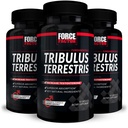 FORCE FACTOR Tribulus Terrestris för Män, 3-Pack, Tribulus Testosteron Booster för Män, Manlig Vitalitet Supplement, Tribulus Extract & Natural Ingredienser för Superior Absorption, 1000mg, 180 kapslar