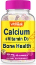 WellYeah Calcium 500mg + Vitamin D3 1000 IE (25 mcg) Gummies - Bone Health and Muscle Supprt, Immune Support Gummy, Non GMO, Gluten Free, Mix Fruit Flavors - 60 Gummies