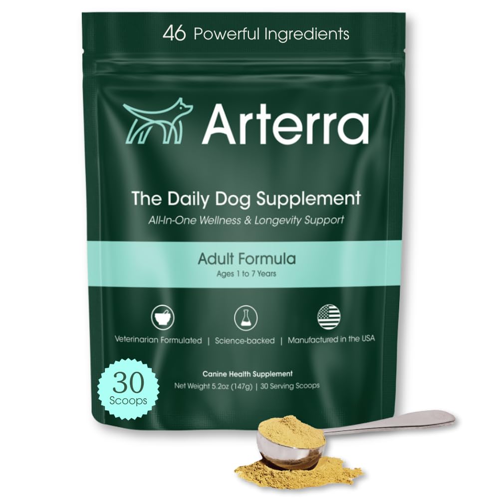 Adult Dog Powder Supplement & Food Topper – 46 Ingredienser för Gut, Immune & Brain Health – Daily Longevity Multivitamin för Whole Body Wellness | 30 skopor