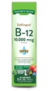 Naturens sanning sublingual vitamin B-12 10 000 Mcg, Fast Acting Liquid, Natural Berry Flavor, 2 Fluid Ounce (Pack av 1)
