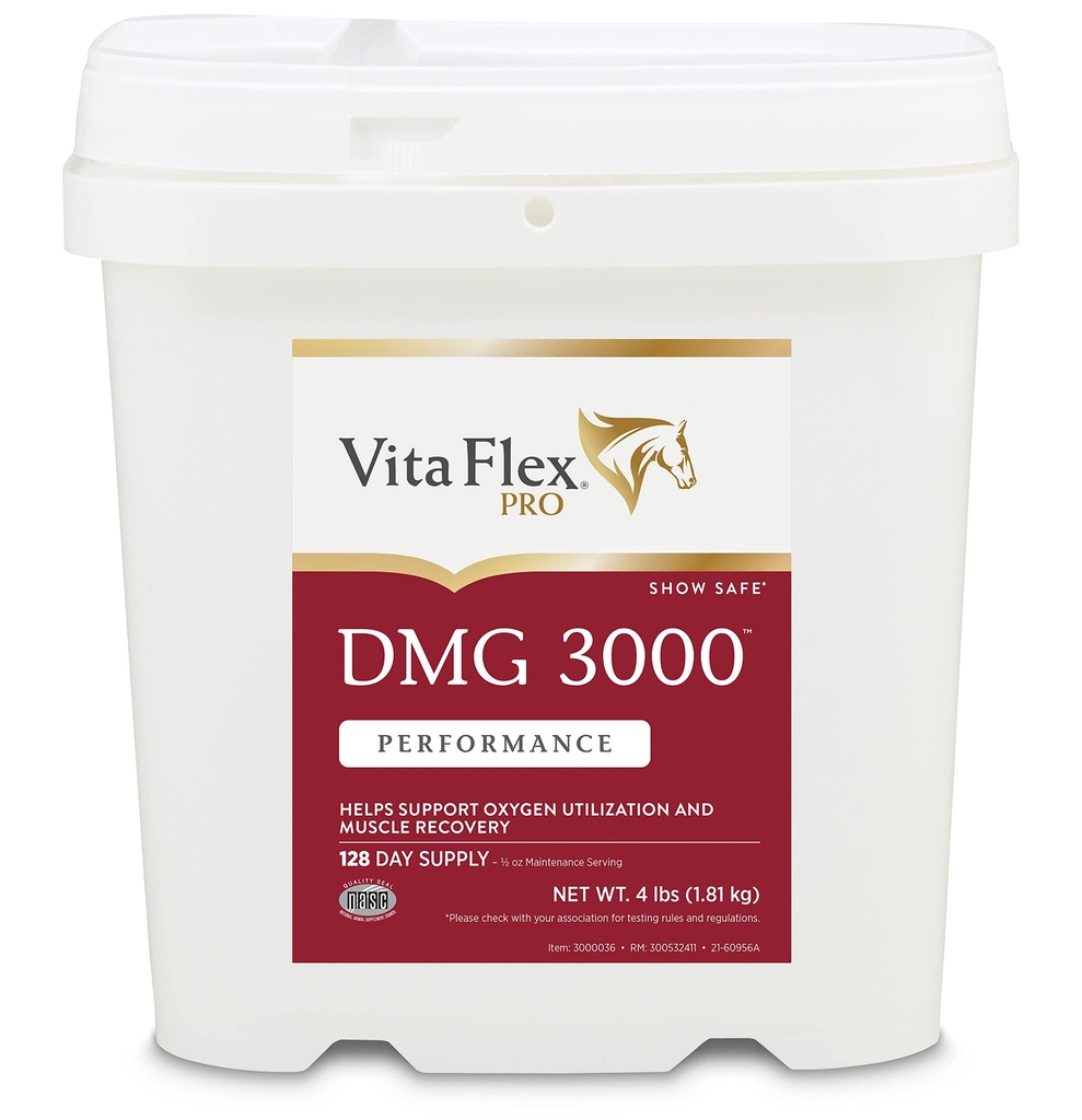 Vita Flex Pro DMG 3000 Häst DMG Concentrate, 4 pund, 128-dagars leverans