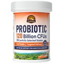 Vitalitown Probiotics 120 miljarder CFUs, 36 stammar, prebiotika, Digestive Enzymes for Men Women, Delayed Release, Shelf Stable, On The Go Digestive Support, 30 Veg Caps