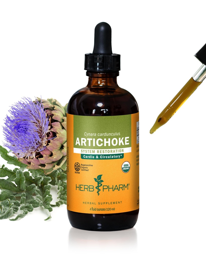 Herb Pharm Certified Organic Artichoke Liquid Extract för kardiovaskulär och cirkulationsstöd - 4 Ounce