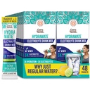 GuruNanda Hydramate Hydration Support Drink Mix - Electrolyte Powder Packets för uttorkning, träning och energi - Inga tillsatta sötningsmedel, icke-GMO, Natural Lemon Lime Flavor - 48 Count (0,56 uns vardera)