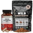 DailyNutra KSM 66 Ashwagandha (90 kapslar) och Mushroom Cacao Mix (16oz) Bundle för avkoppling och fokus