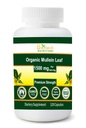 Organic Mullein Leaf 1500 mg Servering 120 vegetabiliska kapslar tillverkade i USA