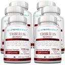 Godkänd vetenskap Tribulus Terrestris - 360 kapslar - ökar testosteron, förbättrar atletisk prestanda, stöder muskeltillväxt och reparation - 95% Furostanol Saponins - Bioperine - Vegan - 6 flaskor