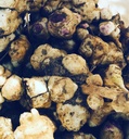 Organiska Jerusalem Artichoke Tubers (Helianthus tuberosus) - Sunchokes, Sunroot eller Jerusalem Artichokes för planering eller äta - 5 Tubers av rök Camp Crafts