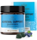 HERBAMAMA Adrenal Support Gummies - Pure Adrenal Complex Supplement för kvinnor med Ashwagandha Root, Rhodiola Rosea & Magnesium - Vegan, icke-GMO - 60 Pectin-Based Blueberry-Flavored Chews