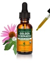 Herb Pharm Certified Organic Golden Echinacea Liquid Extract för Immune System Support - 1 Ounce (DGOLDEN01)
