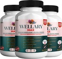 Wellary Max Menopause Support Supplement, 40 miljarder CFU Probiotic Blend, 90 kapslar (3)