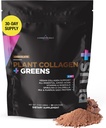 Livingood Daily Plant Collagen + Greens Powder, Chocolate, 5-i-1 Collagen Support med Pea Protein, Aminosyror, Spirulina, Chlorella & Vitamin C, Hair Skin Nails Support, Vegan, 30 portioner